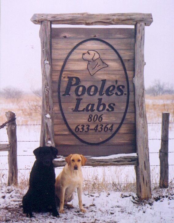 Pooles Labs